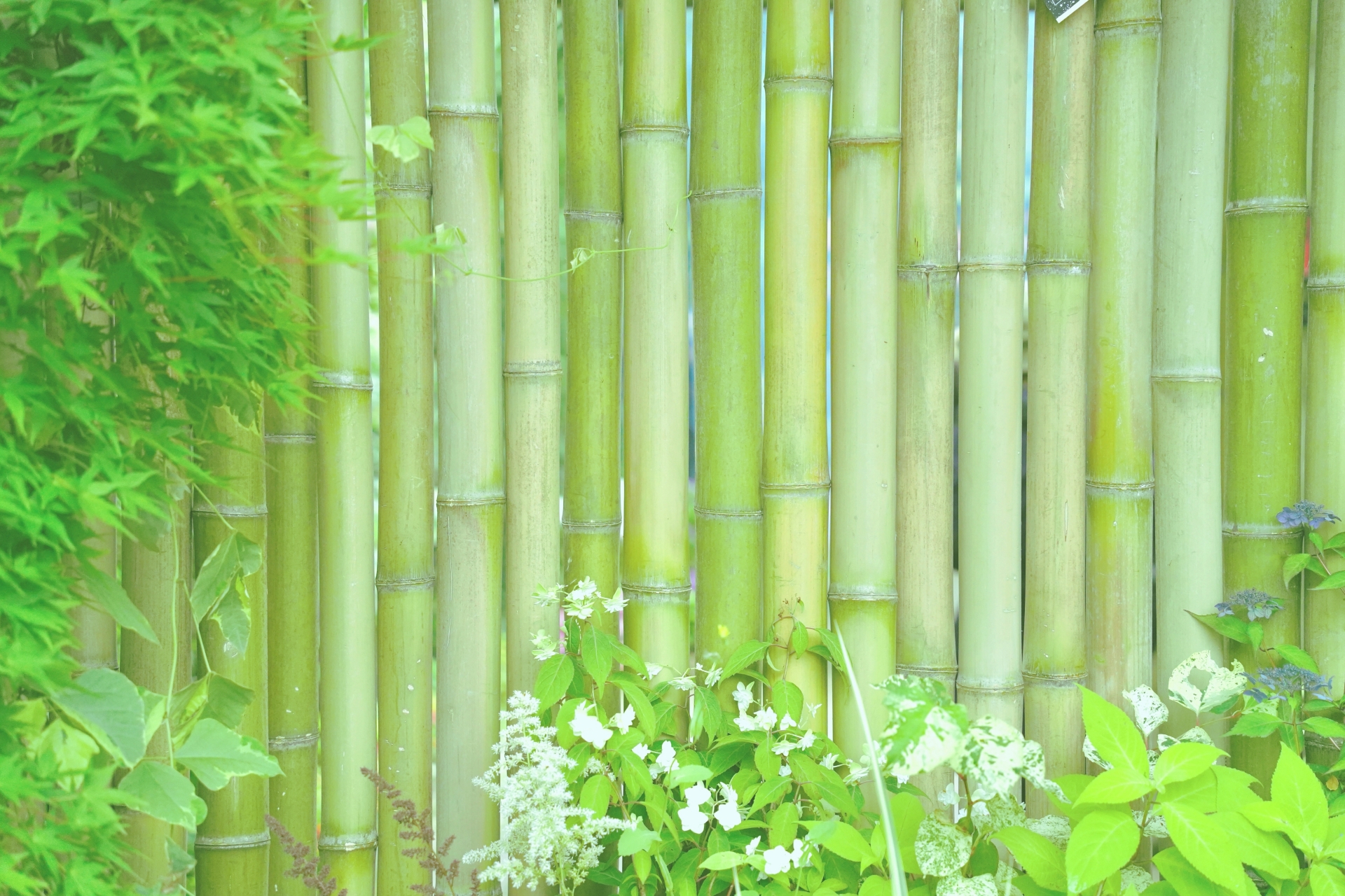 学習センター機関誌から 建物所有者はデザインに責任を負うのか 放送大学ウェブマガジン On Air Web