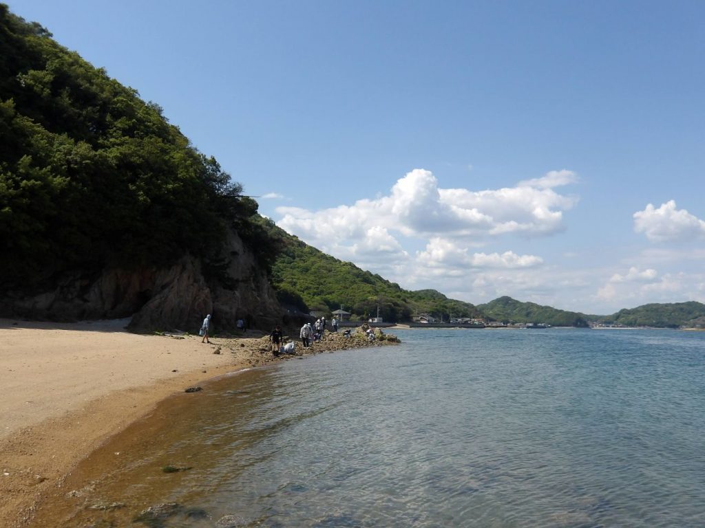 向島から臨める海岸沿いの景色の写真