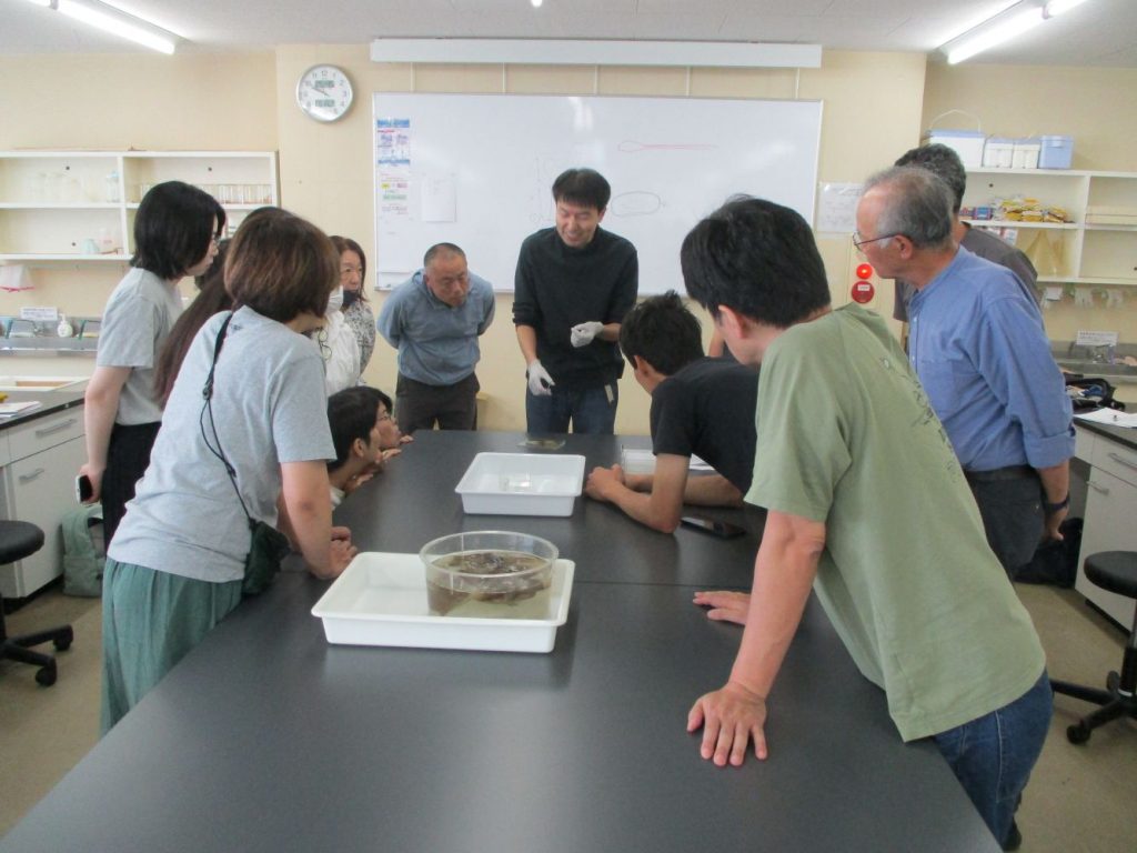 実習室での海洋生物を観察している写真