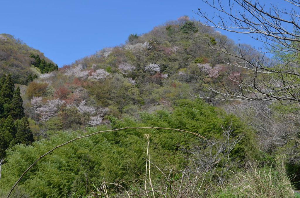 湯ノ岳の写真