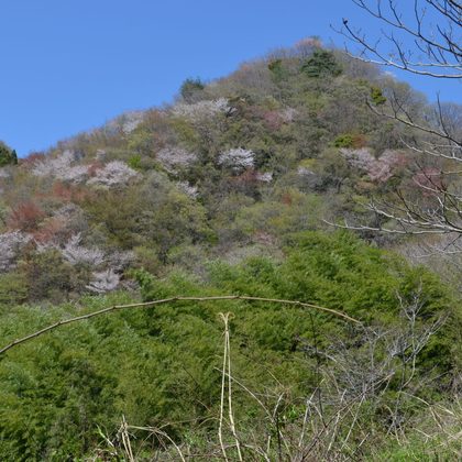 湯ノ岳の写真
